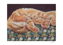 Allegory of a Kitten's Life Dreamweaver No.13