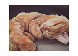 Allegory of a Kitten's Life Dreamweaver No.12