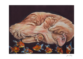 Allegory of a Kitten's Life Dreamweaver No.11