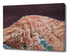 Allegory of a Kitten's Life / Dreamweaver No.9