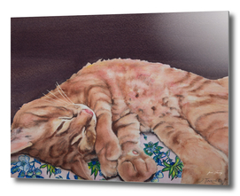 Allegory of a Kitten's Life / Dreamweaver No.9