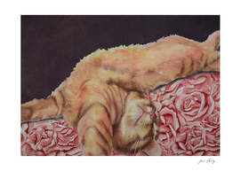 Allegory of a Kitten's Life / Dreamweaver No.6