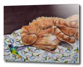 Allegory of a Kitten's Life / Dreamweaver No.4