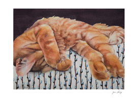 Allegory of a Kitten's Life / Dreamweaver No.3