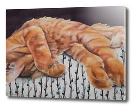 Allegory of a Kitten's Life / Dreamweaver No.3