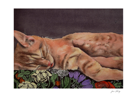 Allegory of a Kitten's Life / Dreamweaver No.1