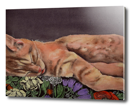 Allegory of a Kitten's Life / Dreamweaver No.1