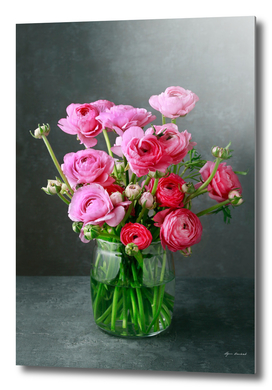 Bouquet of pink ranunculs flowers