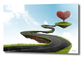 Road to heart tree