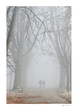 Couple walking in misty park.