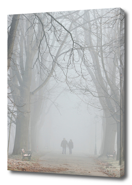 Couple walking in misty park.