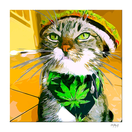 weed cat