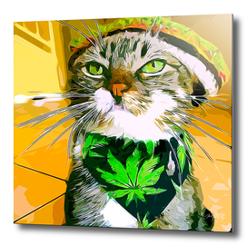 weed cat