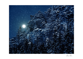 Night winter landscape