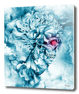 Frozen Skull