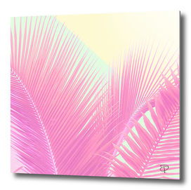 Pastel Blush Palm