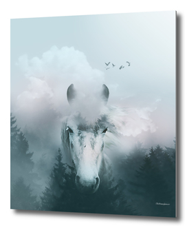 HORSE in the clouds