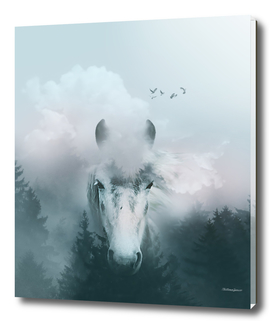 HORSE in the clouds