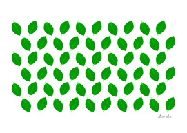 Beech leaf - pattern