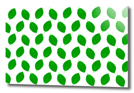 Beech leaf - pattern