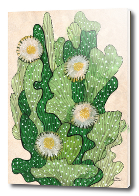 Blooming cacti, beige, white & green