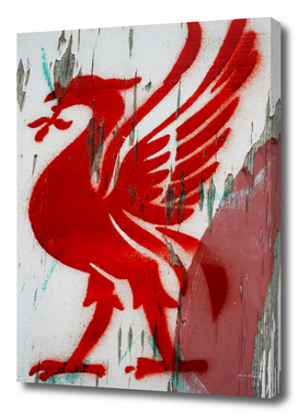 Liverpool FC football liverbird