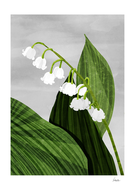 lilly of the valley
