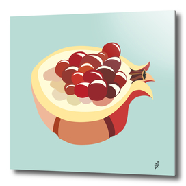 Pomegranate illustration