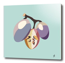 Grape illustration