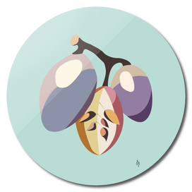 Grape illustration