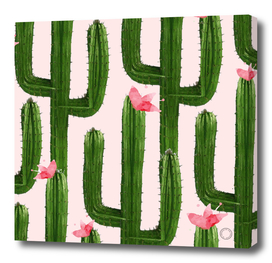 Happy Cacti