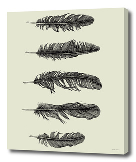 Five Lucky Feathers