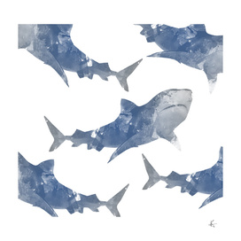 The World is Full of Sharks