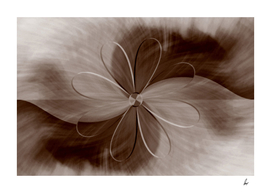 Brown Daisy Abstract