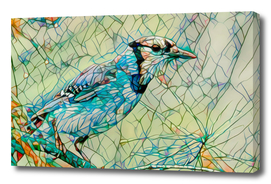 Blue Jay Mosaic