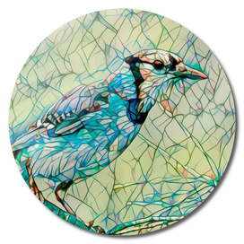 Blue Jay Mosaic