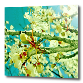 spring blossoms vintage teal