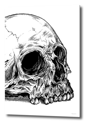 Giant Skull Detail