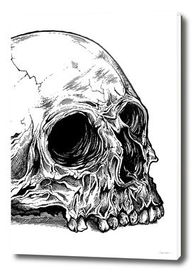 Giant Skull Detail