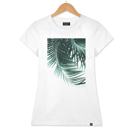 Palm Leaves Green Vibes #1