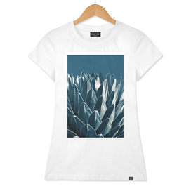 Agave Chic #5