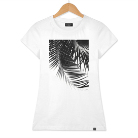 Palm Leaves Black & White Vibes #1