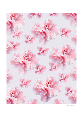 Pink Azalea Flower Dream #1