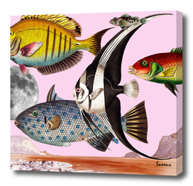 Fish World Pink #collage