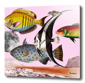 Fish World Pink #collage