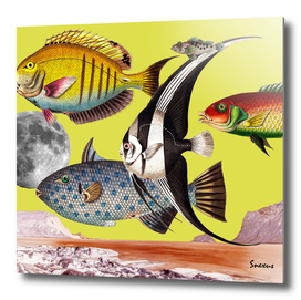 Fish World Yellow #collage