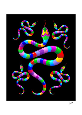 Snake Psychedelic Rainbow Colors