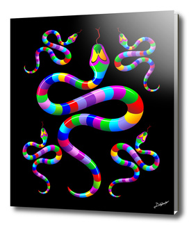 Snake Psychedelic Rainbow Colors
