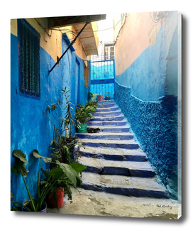 Colors of the Medina