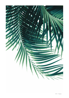 Palm Leaves Green Vibes #4